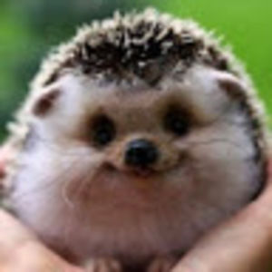 Meet your Posher, Jill